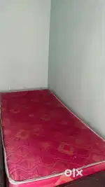 2 bhk for bachelor and family with furnicher