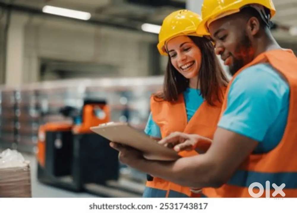 Urgent hiring freshers and experience candidates