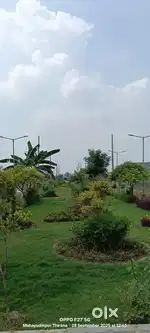 Sale in plot district Panipat aassan road thirana