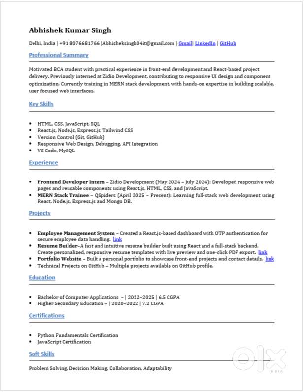 Web developer, MERN stack developer