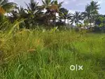 Nilam, madakkara, chulliyode