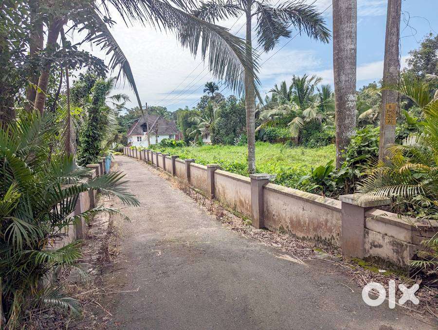 House plot 5 cents in Ettumanoor town 6.5 lakh/cent