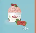Milk shake and Thick shake Makers