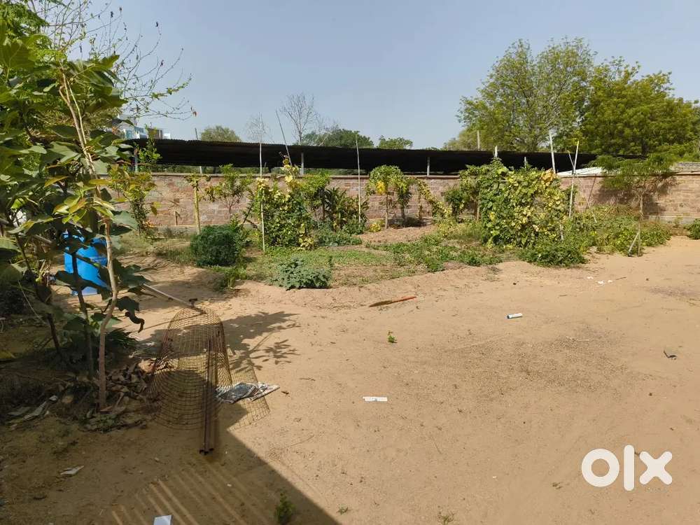 Godown area near pal Balaji temple