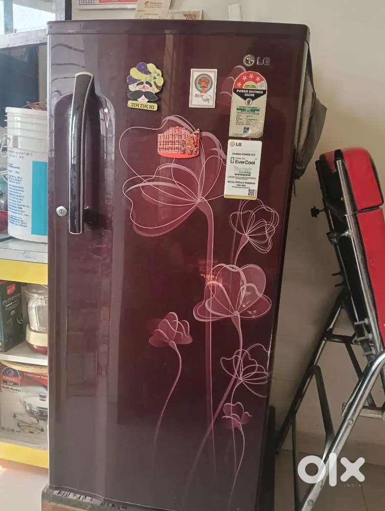 Lg Single Door Freeze