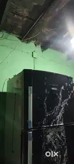 Electrux double door fridge