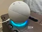 Alexa Echo dot (4th Gen)