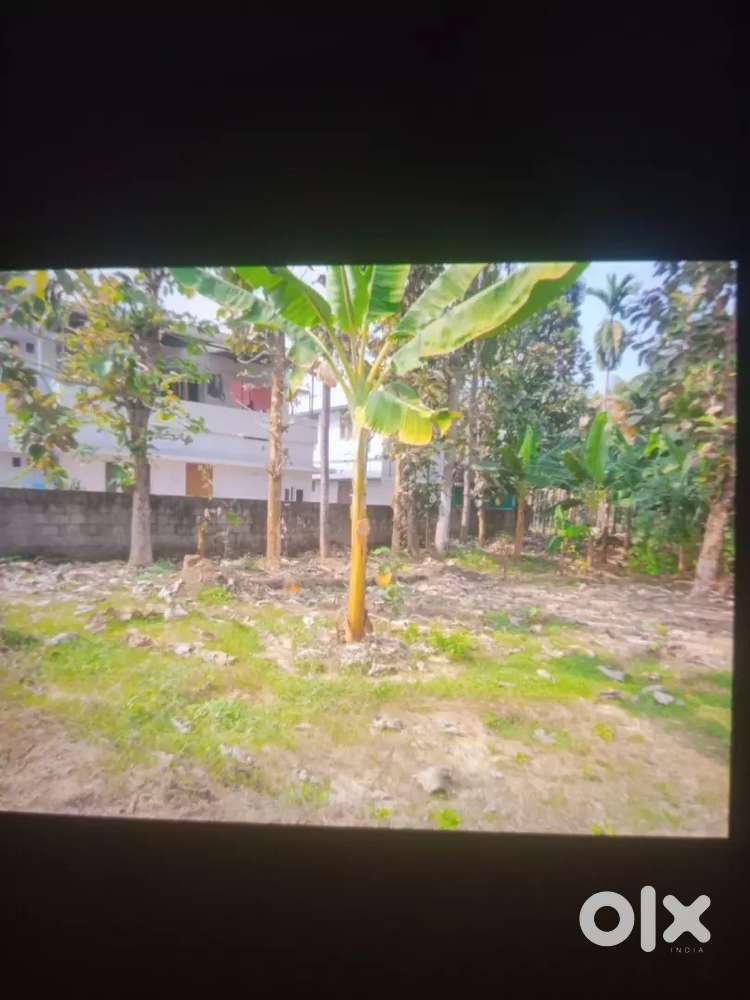 House plot at pattal Perubavoor