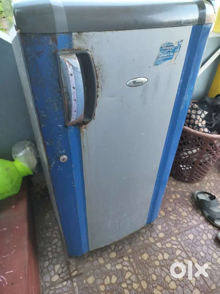 Whirlpool Fridge