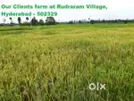 Owner property Sale 5 acres of land situated in Rudraram Hyderabad.
