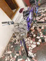 Bycycle / Lady bird