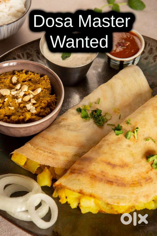 Dosa & idli master