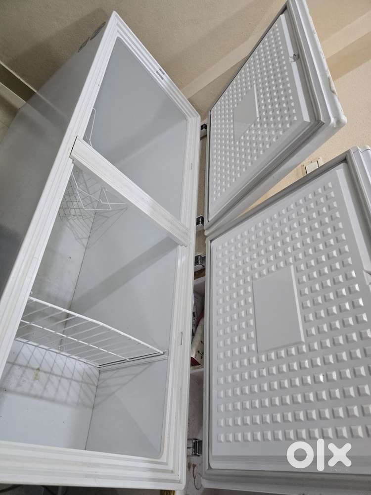 Blue star double door deep freezer white colour (484 ltr)