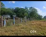 Commercial purpose land