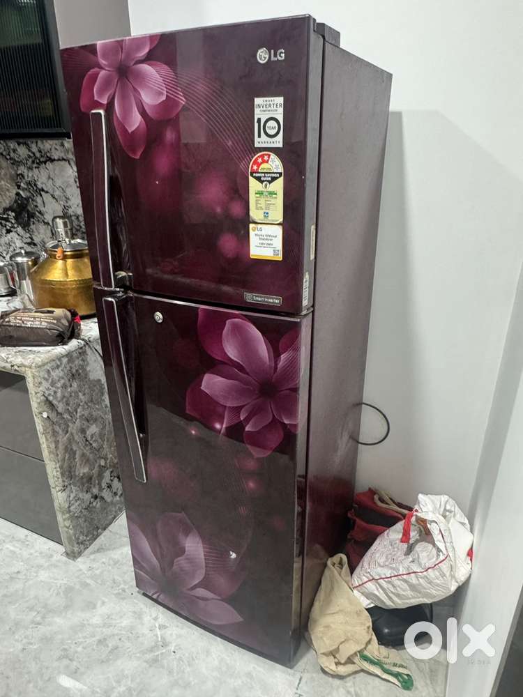 Lg refrigerator