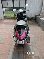 One year old fascino, price negotiable