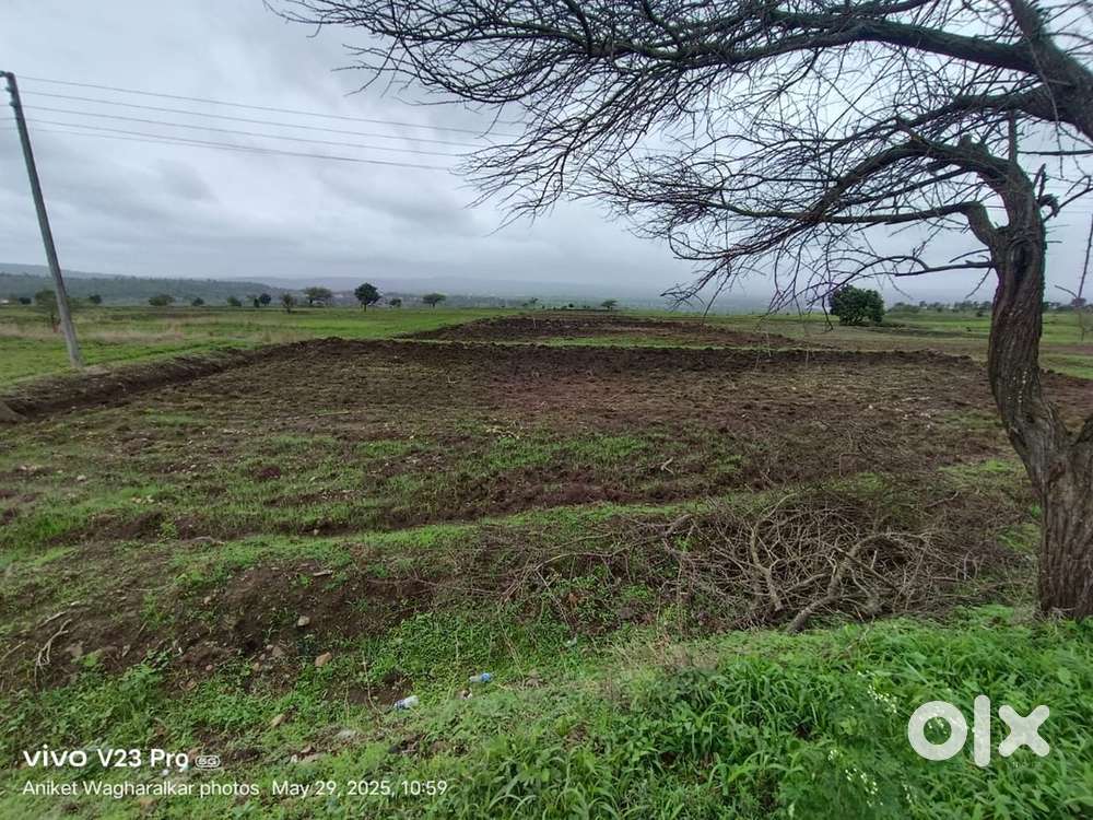 AGRICULTURAL/COMMERCIAL LAND ON RENT NEAR SGM COLLEGE CHINCHEWADI