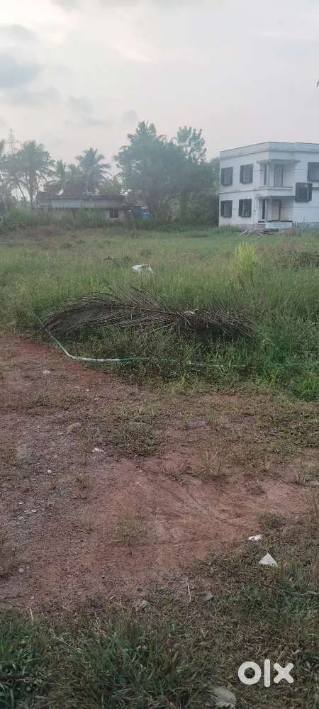 11 cent plot  250000 per cent available 3,4 cent also