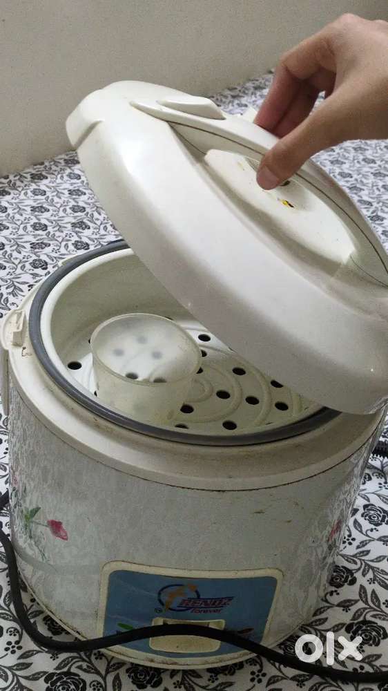 White Steam pot