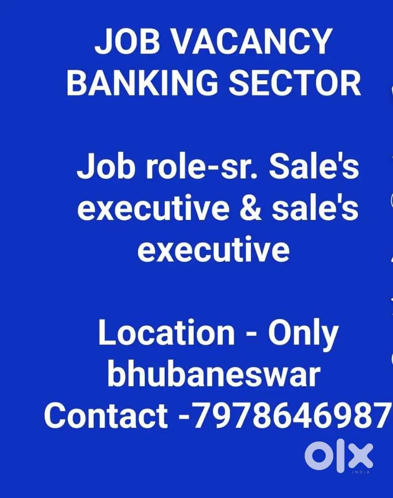 Banking sector sales executive & senior sale's excutive