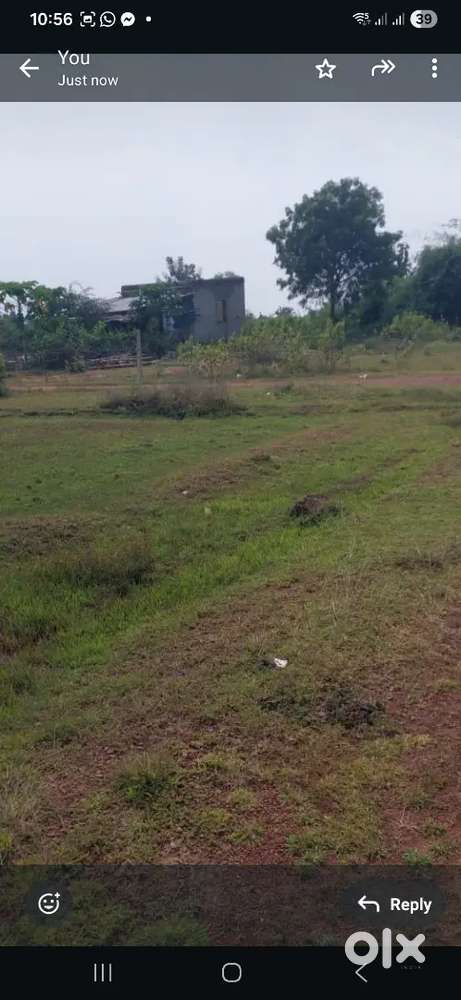 Plots available for Sale in Bhagavatipur near Mount Zee litera school