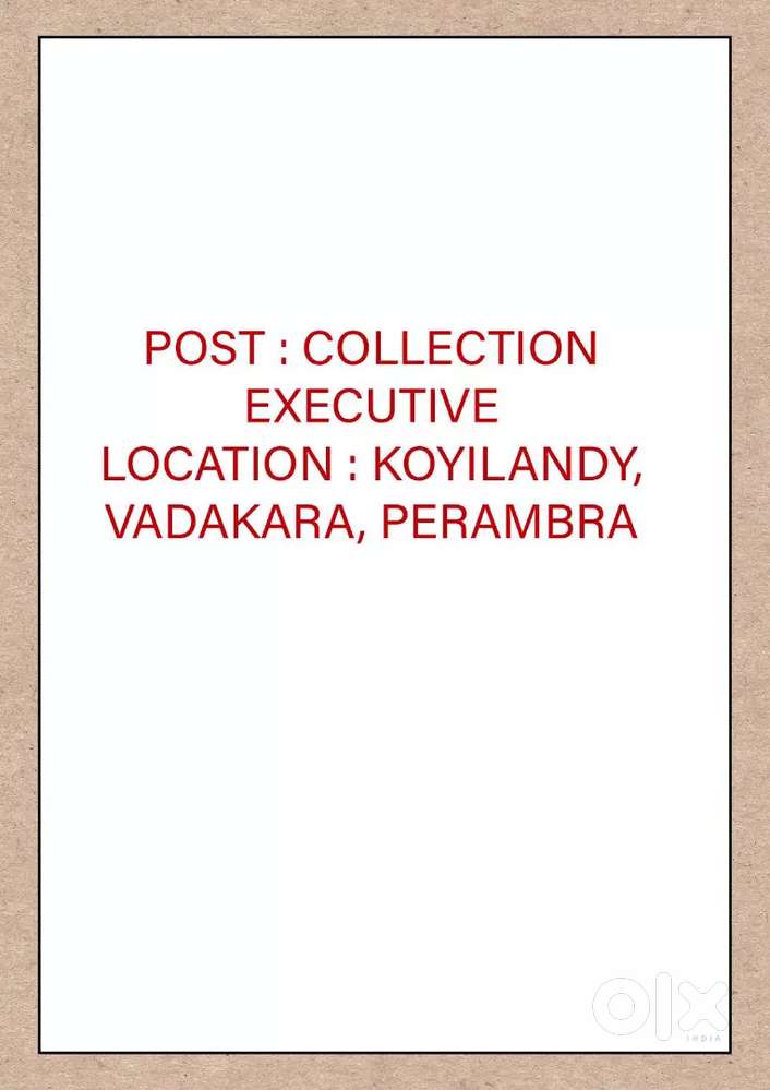 COLLECTION OFFICER