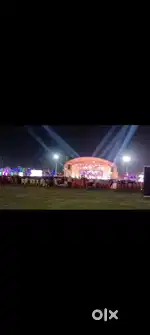 Professional VIP waiter