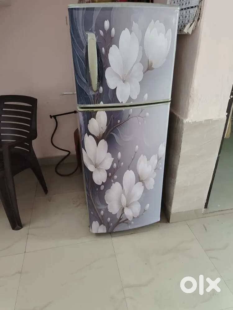 Lg double door fridge