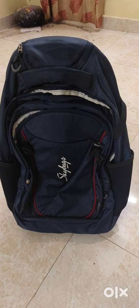 Skybags backpack trolley and car seat back rest cushion