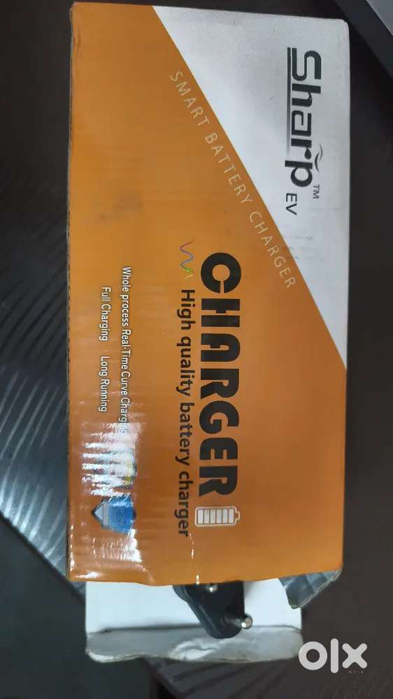 CHARGER FOR EV TWO WHEELER