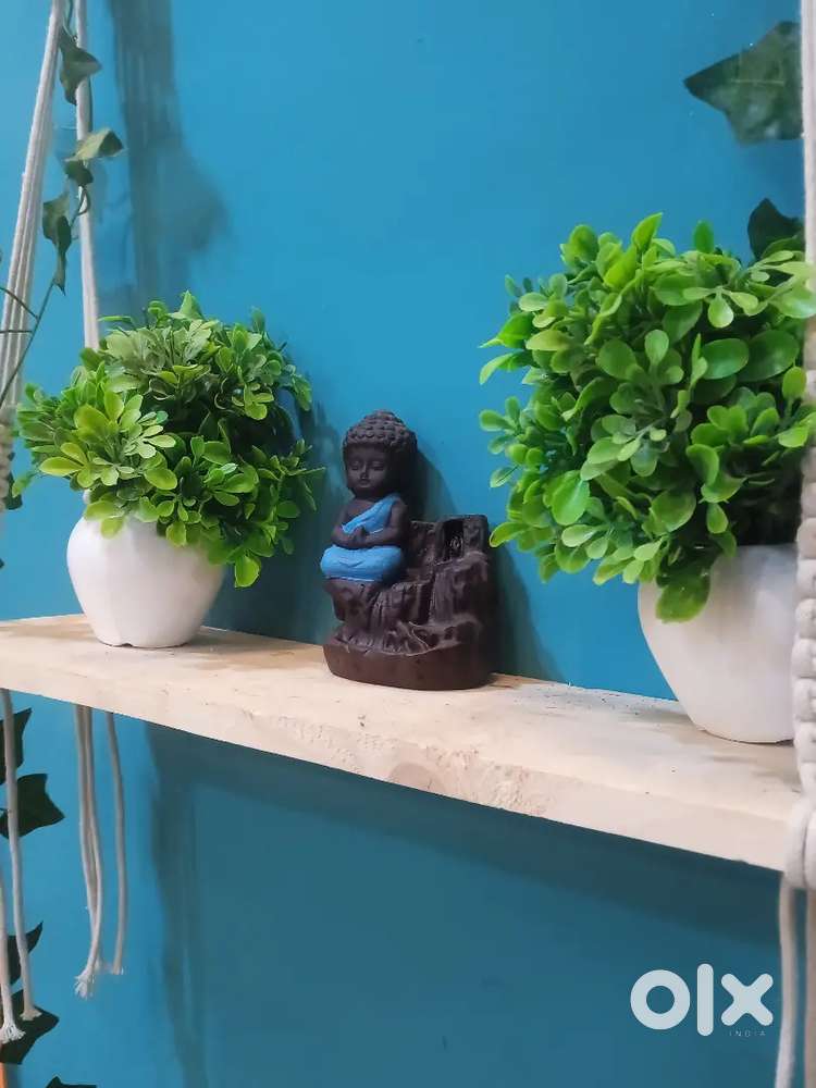 Investor needed for food chain restaurant in raipur or gym