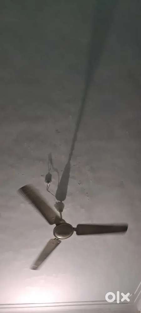 Electrical Tecnician