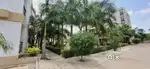 3bhk flat , beautiful house