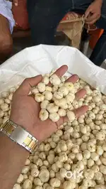 Hiring Sales person for selling makhana