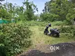 15cent plot near maramkulangara kalavoor