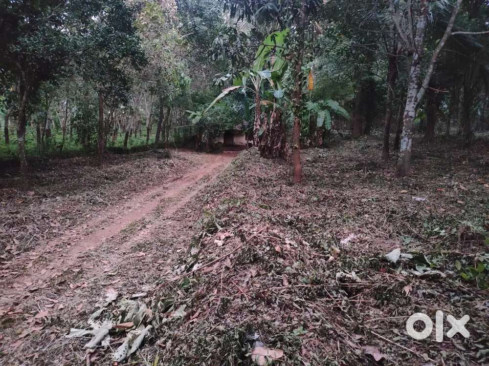 Plot for sale. Valiyaparambu. Near mulayankavu