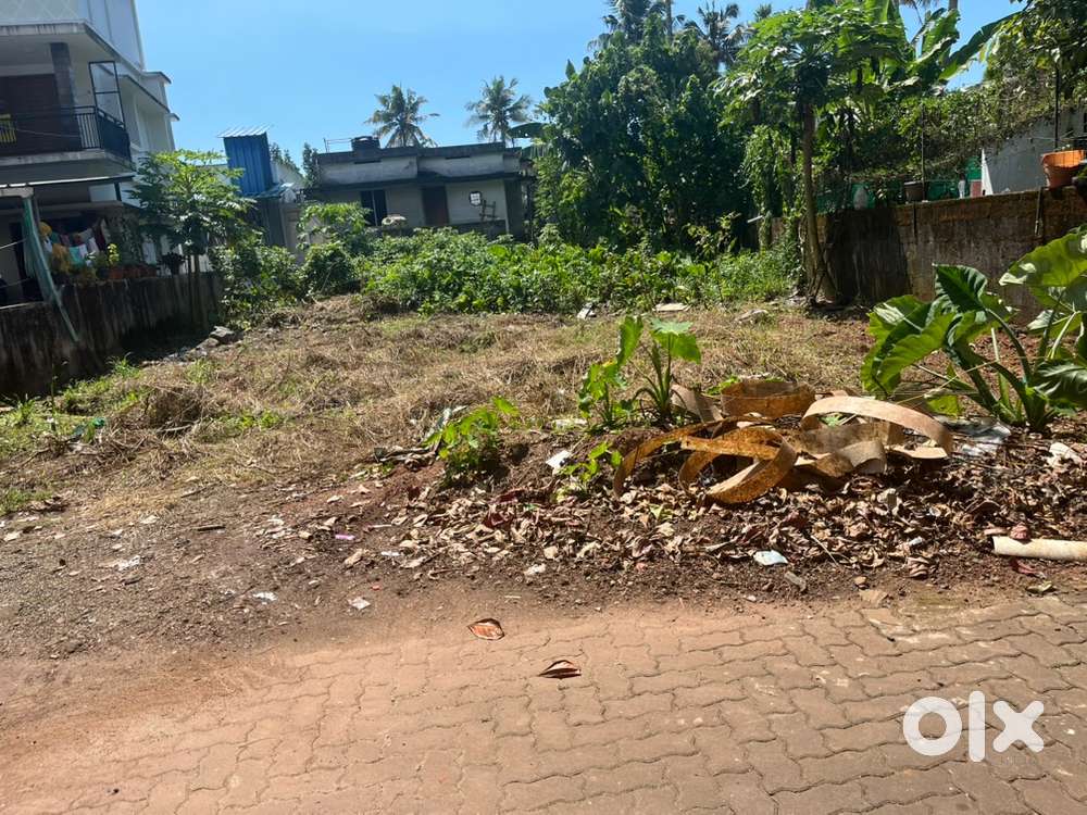 7 cent house, Plot KAKKANAD Vikas Avani