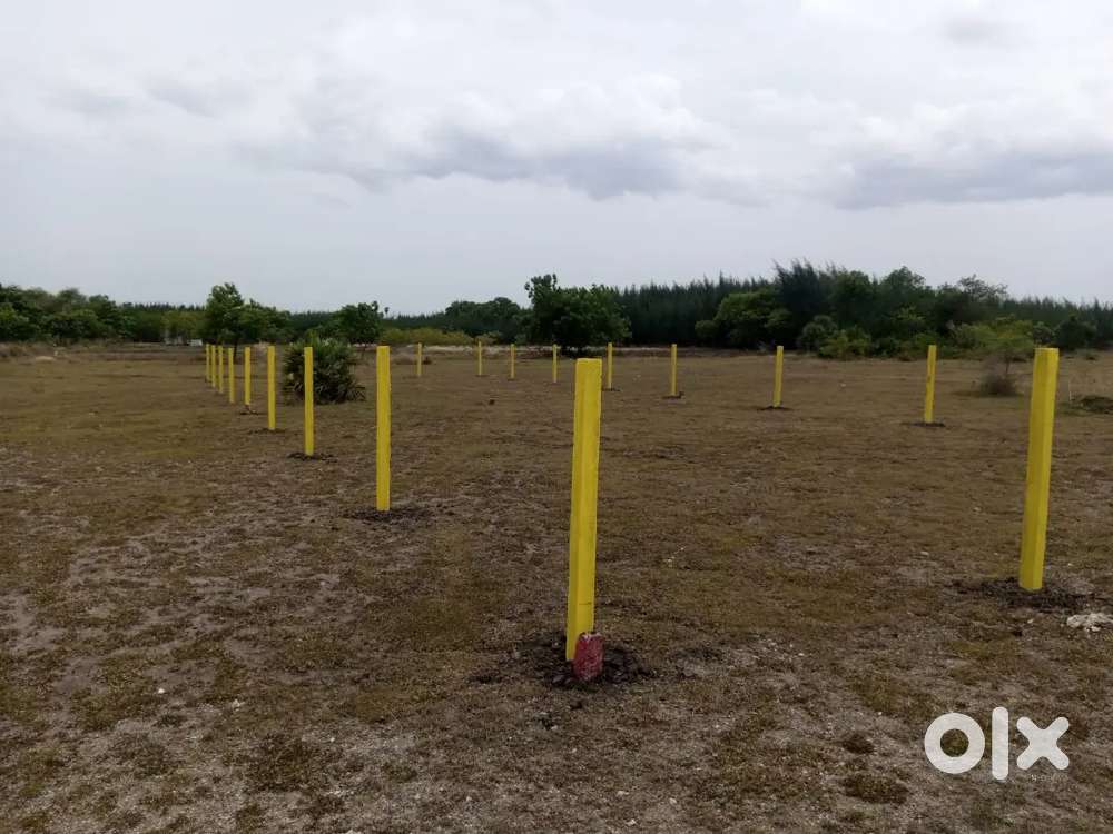 PLOT SALE   NEAR KILIYANUR TINDIVANAM  TO PONDY BYPASS JUST 3 KM