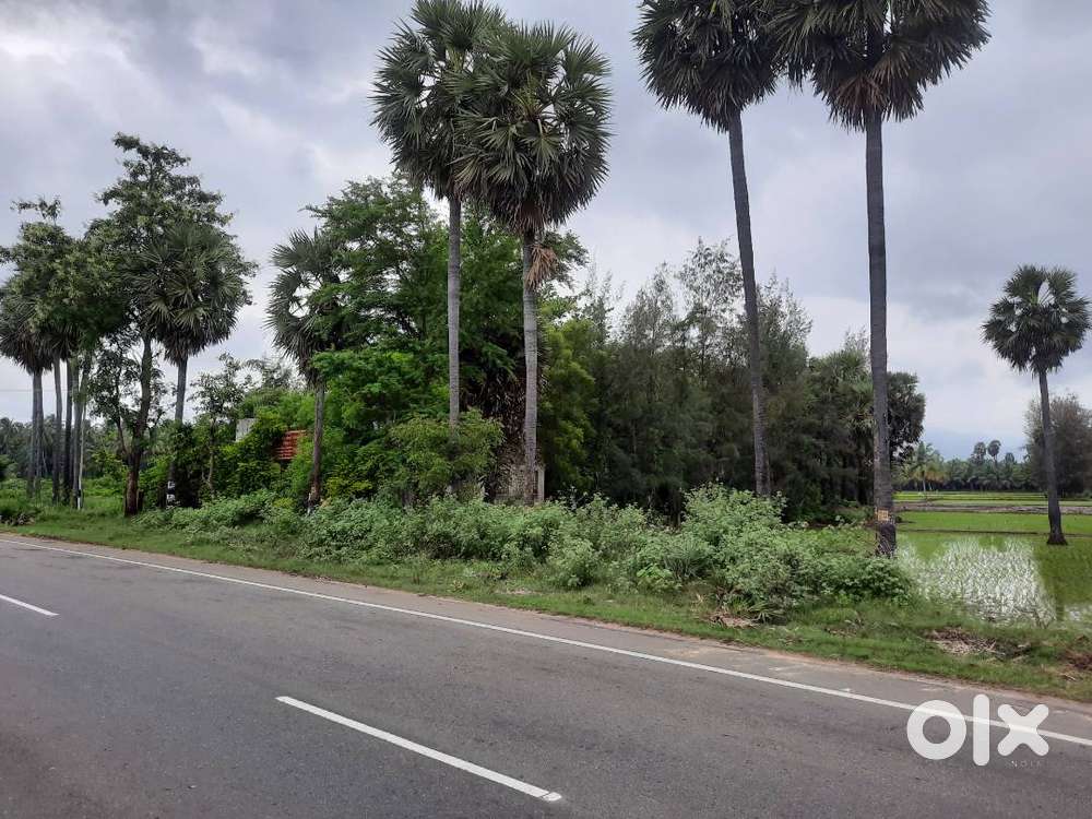 25 cents of land located on the Kollam-Madurai National Highway