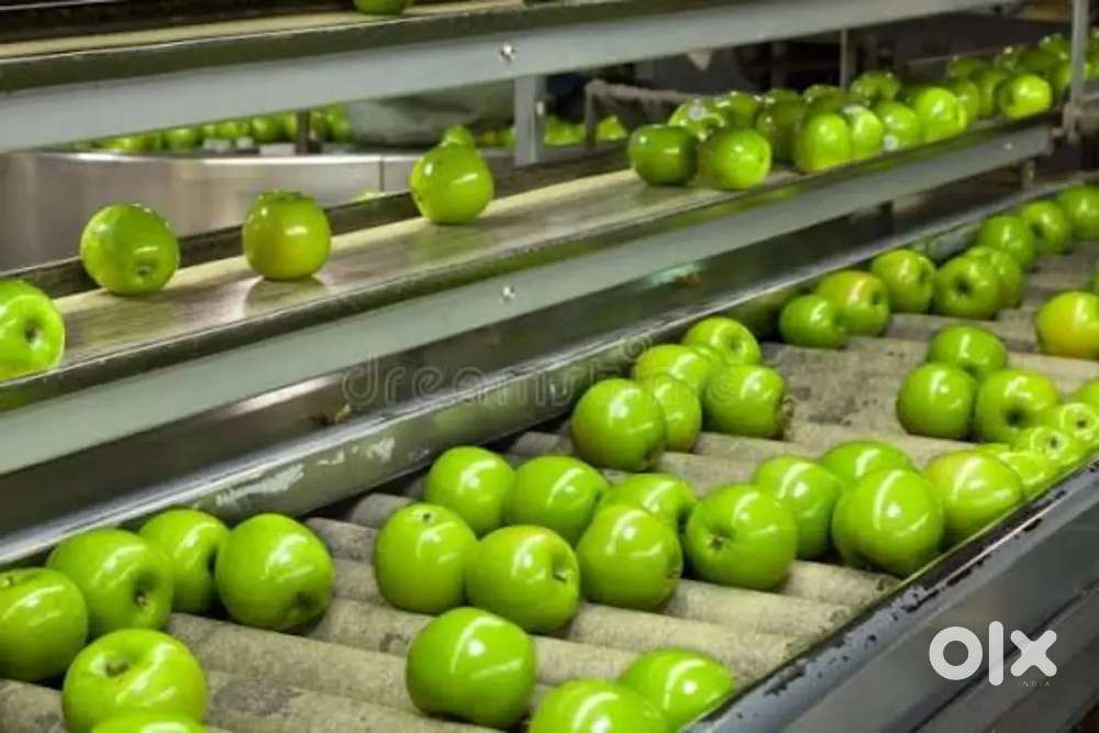 Wanted male/female daily wages packing /showroom staffs