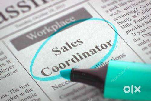 SALES COORDINATED-SENIOR SALES COORDINATOR-BUSINESS DEVELOPMENT MANAGE