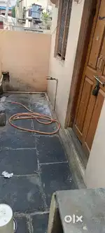 1bhk flat for rent