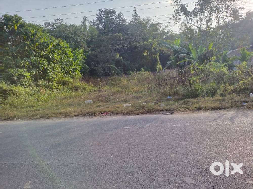 Land for sale at Jorhat Town Cinamora highway side