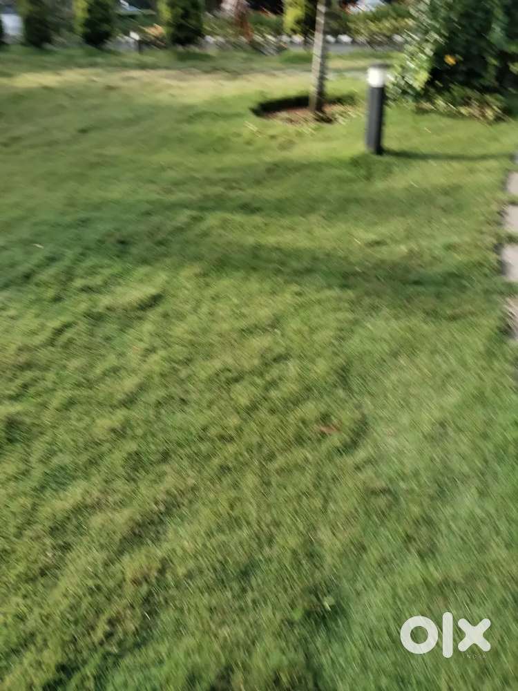 Thrissur mannuthy near v.v.s. school 8 cent plot for sale per cent 7 L