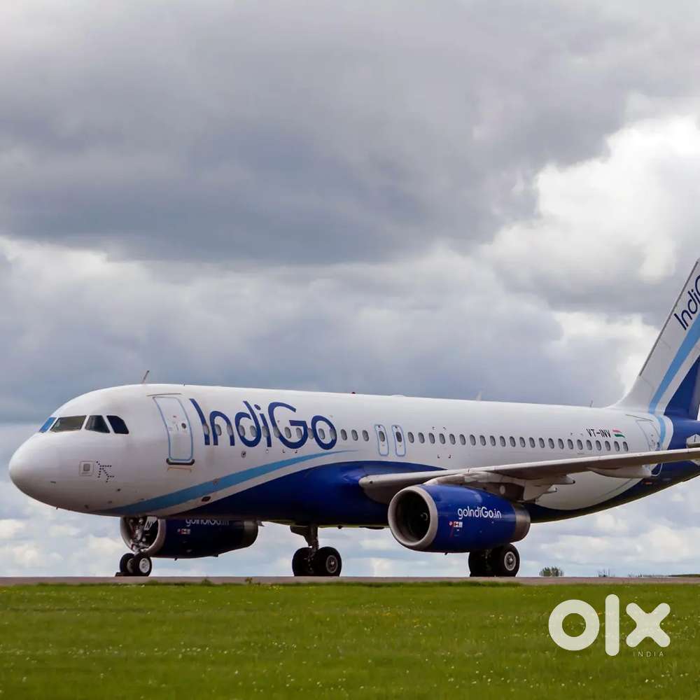 All India based jobs in indigo Airlines
