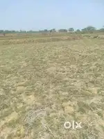 7 acer land at seraikella ,2.5 km from seraikella district court