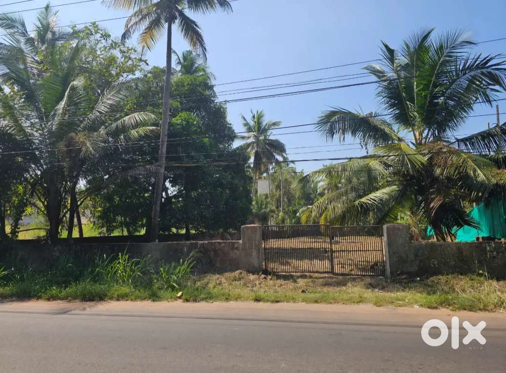 29 CENT COMMERCIAL PLOT - MAIN ROAD- KANNUR - ALAVIL ROAD - 9 LAKH