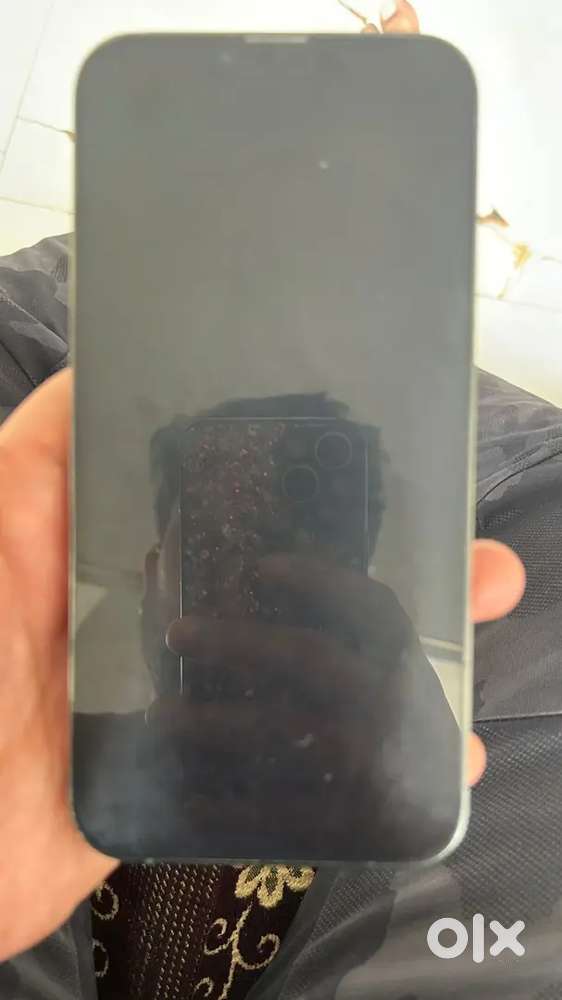 Iphone 13 pro max (128gb)