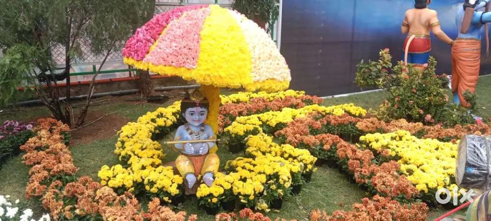 Semi commercial plot