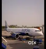 OLX India  Open App HomeJobsOffice AssistantOffice